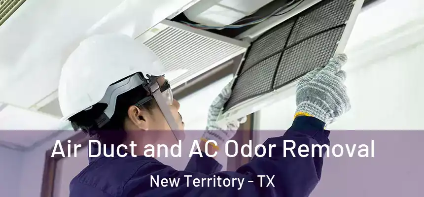  Air Duct and AC Odor Removal New Territory - TX