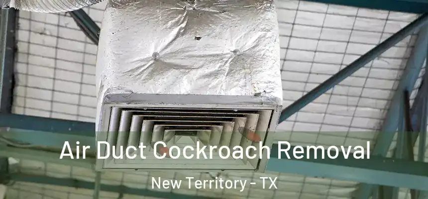  Air Duct Cockroach Removal New Territory - TX