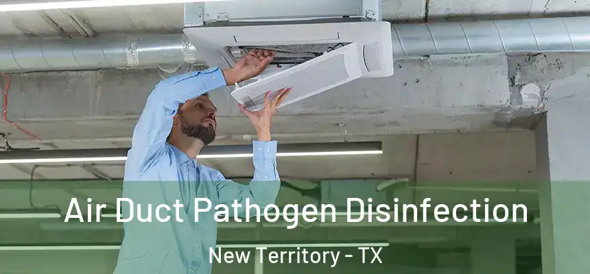  Air Duct Pathogen Disinfection New Territory - TX