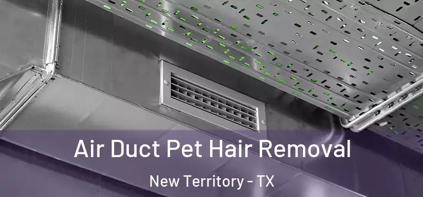  Air Duct Pet Hair Removal New Territory - TX