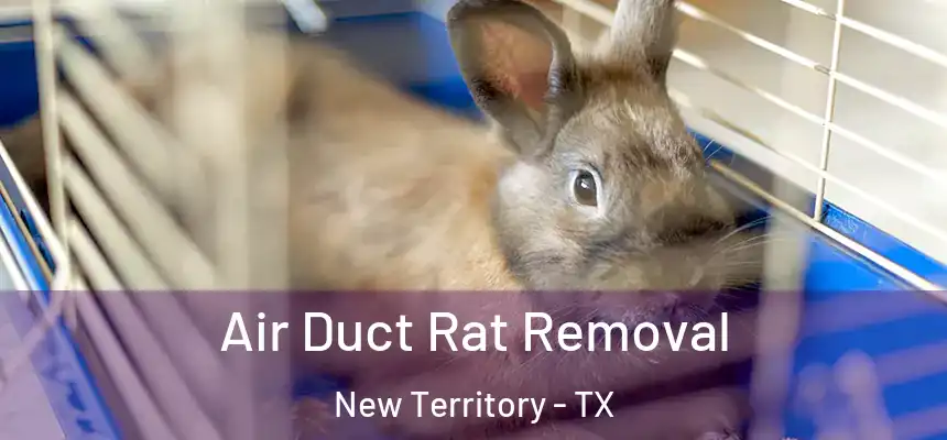  Air Duct Rat Removal New Territory - TX