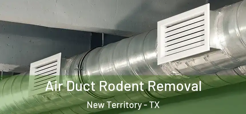  Air Duct Rodent Removal New Territory - TX