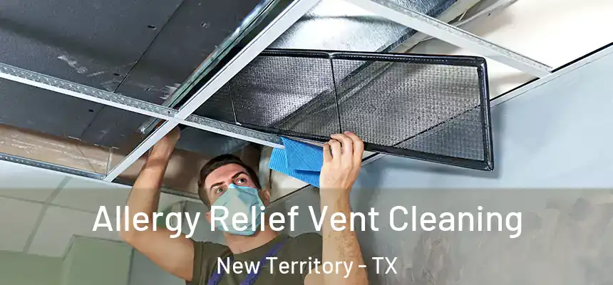  Allergy Relief Vent Cleaning New Territory - TX
