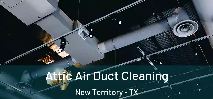  Attic Air Duct Cleaning New Territory - TX