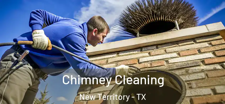  Chimney Cleaning New Territory - TX