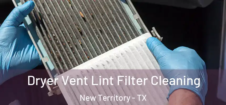  Dryer Vent Lint Filter Cleaning New Territory - TX