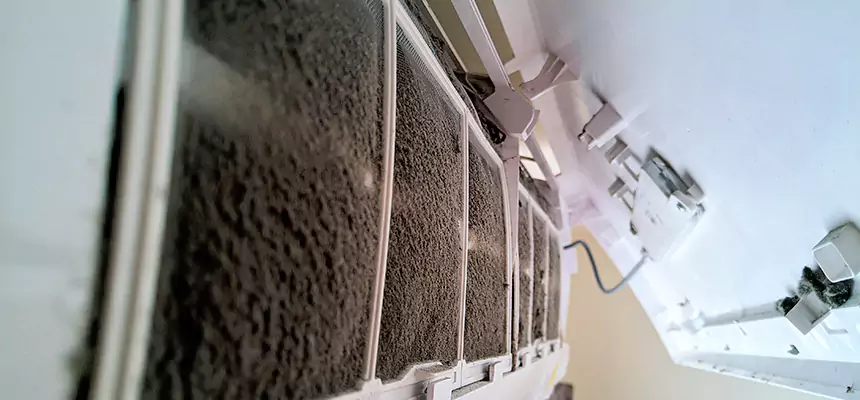 Preventive Air Duct Bacteria Removal in New Territory