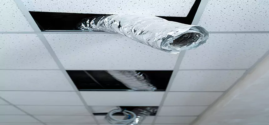 Affordable HVAC Sanitizing After Pest Removal in New Territory