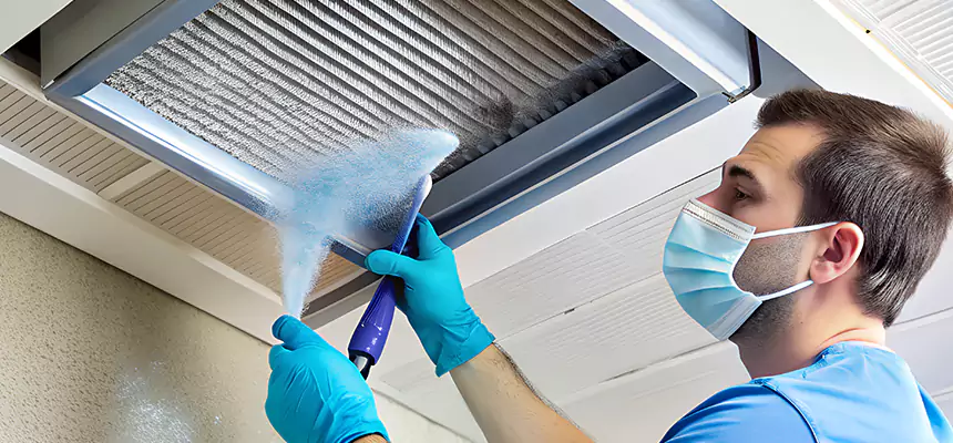 Proactive Dryer Vent & Auxiliary Duct Pollen Cleanup in New Territory, TX