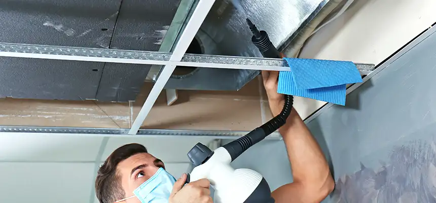 Our Air Duct Rodent Removal Services in New Territory, TX