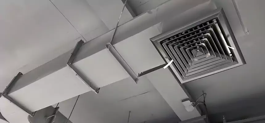 Restorative Allergy Relief Vent Cleaning – Coil, Blower & Housing Detail in New Territory