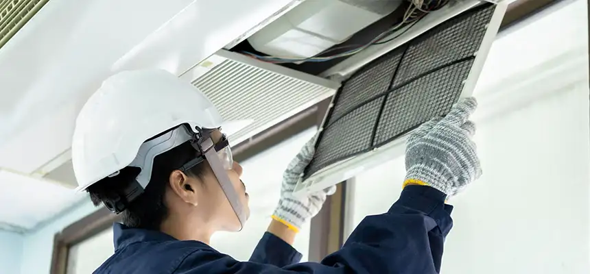 Our Lint Trap Cleaning Service Services in New Territory, TX