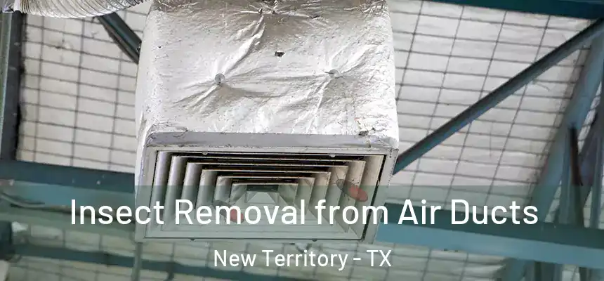  Insect Removal from Air Ducts New Territory - TX