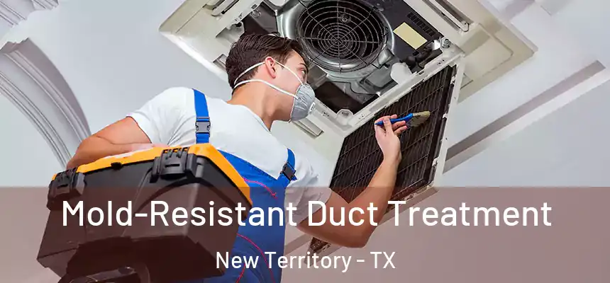  Mold-Resistant Duct Treatment New Territory - TX