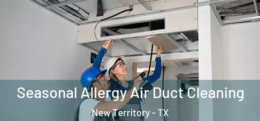  Seasonal Allergy Air Duct Cleaning New Territory - TX