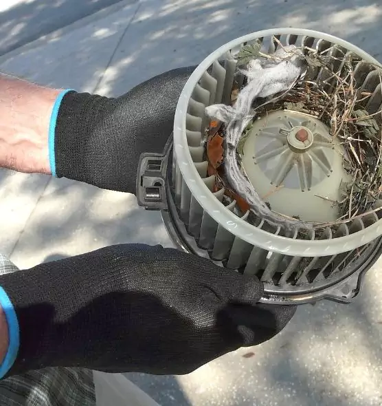 About Air Duct Mice Removal in New Territory, TX