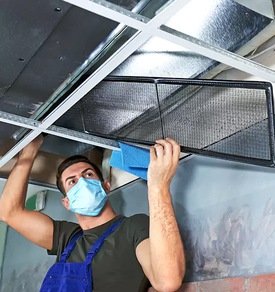 Professional Air Duct Pollen Cleaning in New Territory, TX