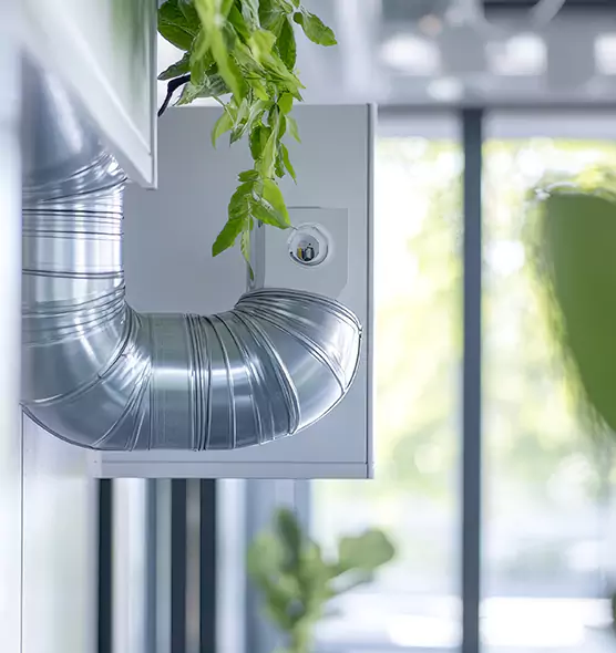 Professional Eco-Safe Dryer Vent Cleaning in New Territory, TX