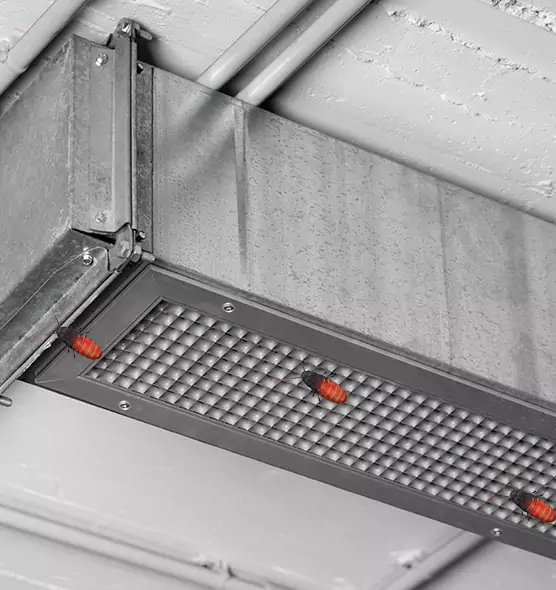 Affordable Insect Removal from Air Ducts in New Territory, TX