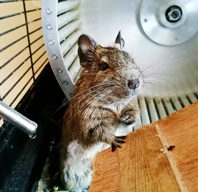 Why Homeowners & Businesses Trust Us New Territory, TX