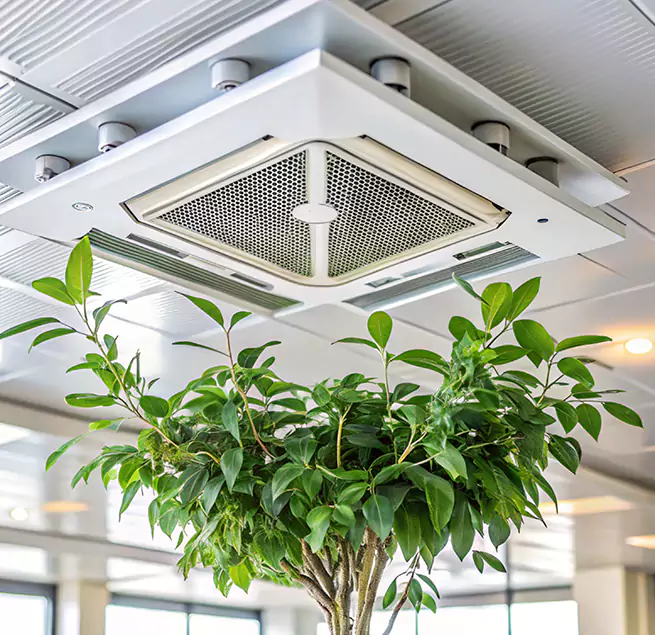 Why Homeowners & Businesses Trust Us in New Territory, TX?