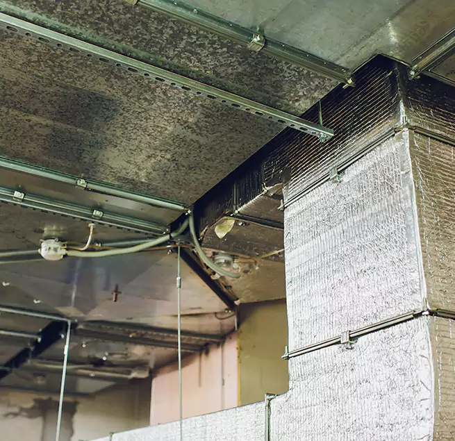 Why Homeowners & Businesses Trust Us in New Territory, TX?