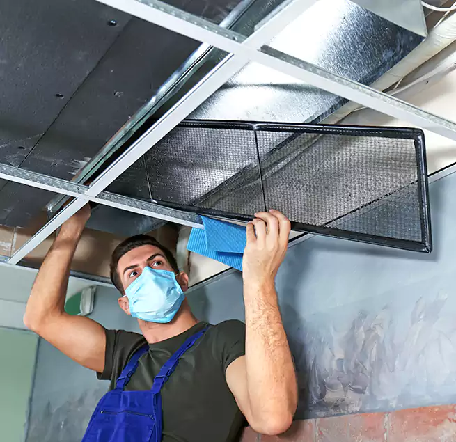 Why Homeowners Businesses Trust Us in New Territory, TX