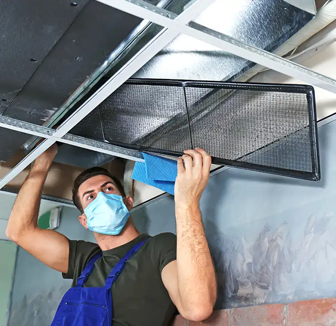 Why Homeowners & Businesses Trust Us in New Territory, TX?